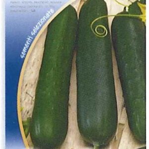 Cetriolo marketmore
