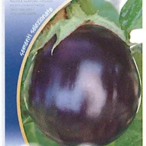 Melanzana black beauty