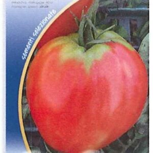 Pomodoro cuor di bue