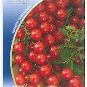 Pomodoro red cherry