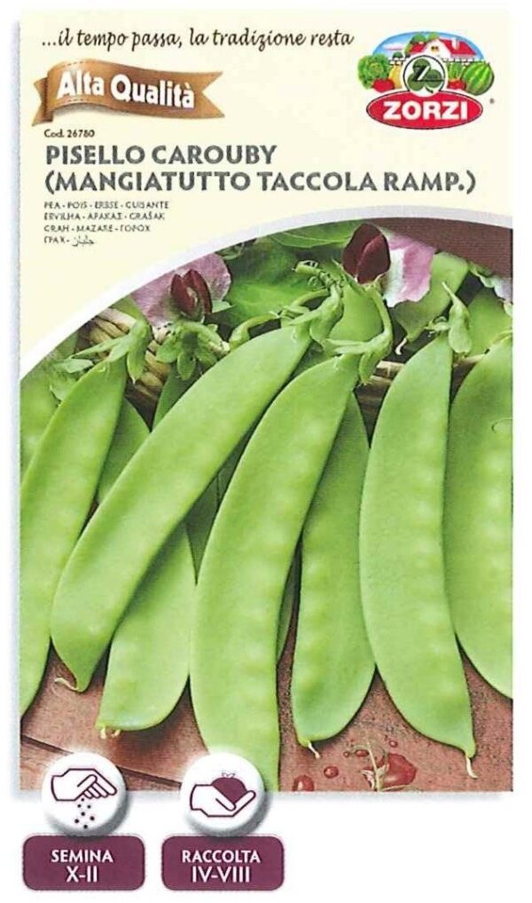 Pisello carouby (mangiatutto taccola ramp.) - 250gr
