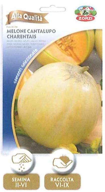 Melone cantalupo charentais
