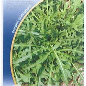 Rucola selvatica