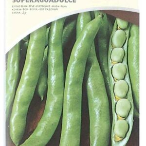 Fava superaguadulce