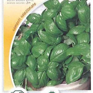 Basilico genovese