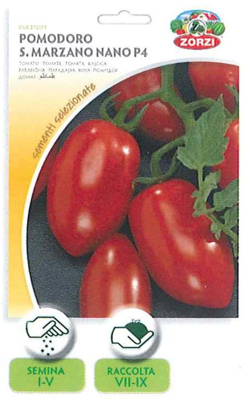 Pomodoro s.marzano nano p4