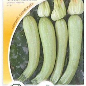 Zucchino genovese