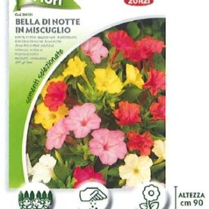 FIORI - bocca di leone alta in mix