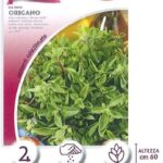 AROMATICHE - origano