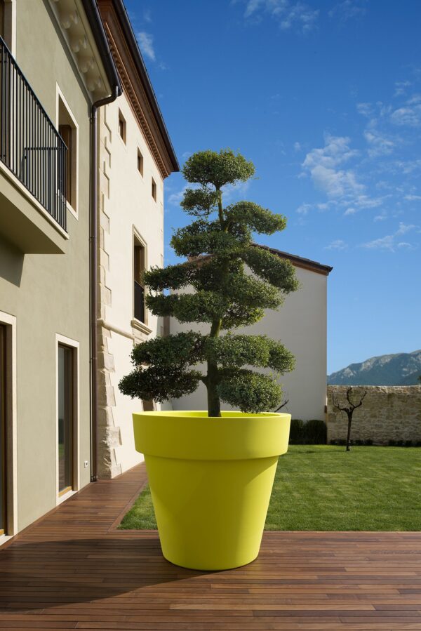 Vaso IKON