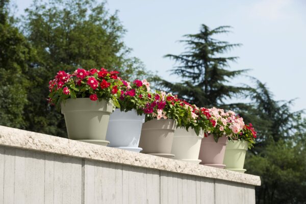 Vaso MITU PAC con fori