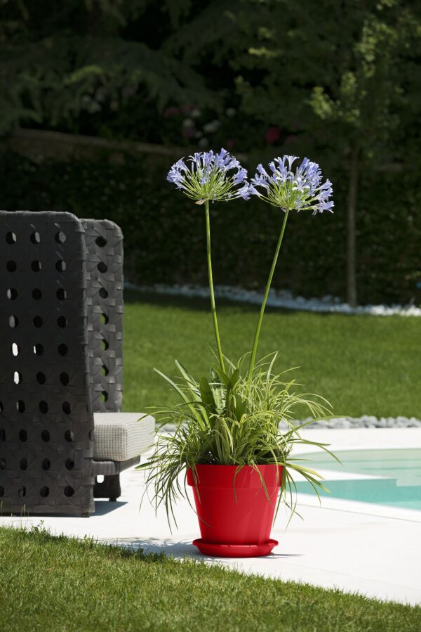 Vaso MITU PAC con fori