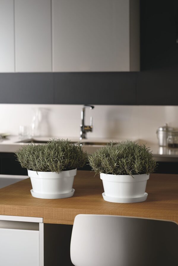 Ciorola MITU con fori con sottovaso
