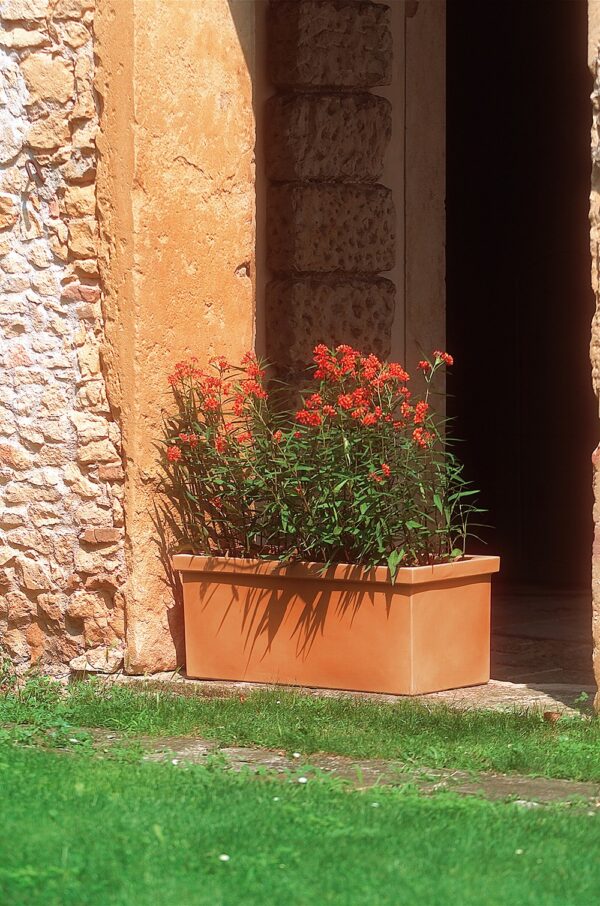 Cassetta SIEPI