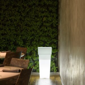Vaso DUO QUADRO light