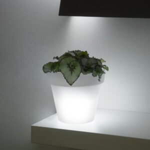 Vaso IKON light MINI (da int.)
