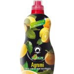 ALFE - liquido agrumi 1lt