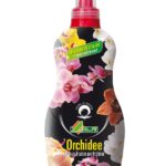 ALFE - liquido orchidee 1lt